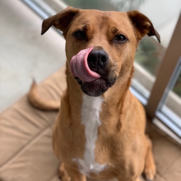 Meet your Posher, Alexis - Picture 3 of 7